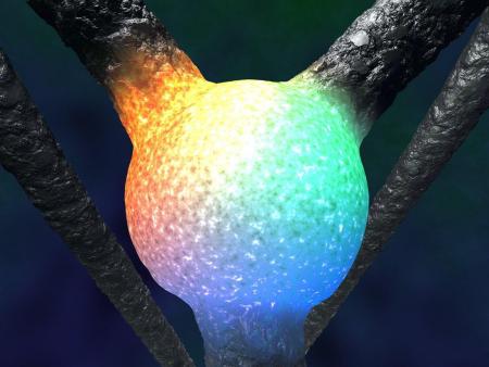 Un neurone riche en couleurs!!!